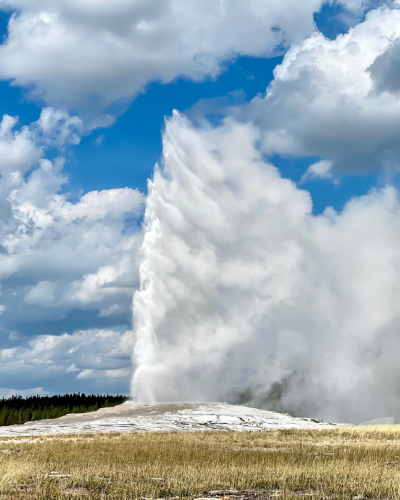 Yellowstone