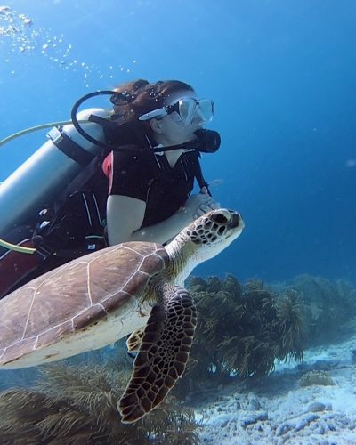 jeni and turtle scuba diving