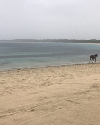 fiji beach